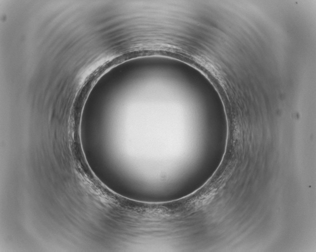 X0000086950979200704231421