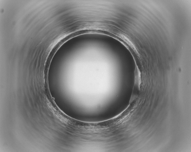 X0000086950980200704231421