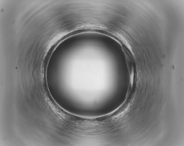 X0000086950981200704231421