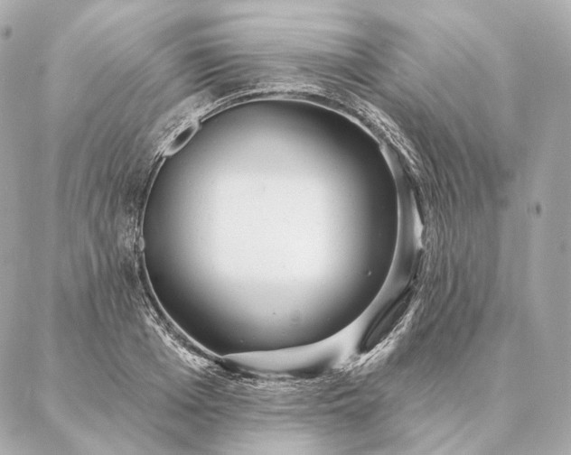 X0000086950985200704231421