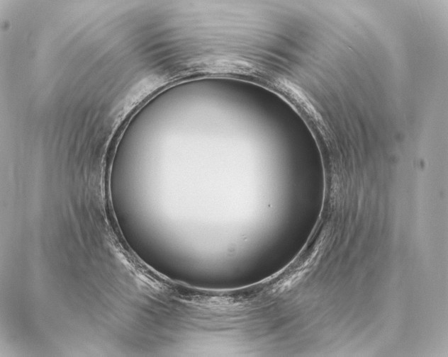 X0000086950986200704231421