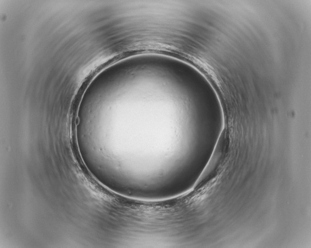 X0000086950987200704231421