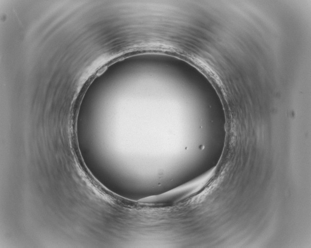 X0000086950989200704231421