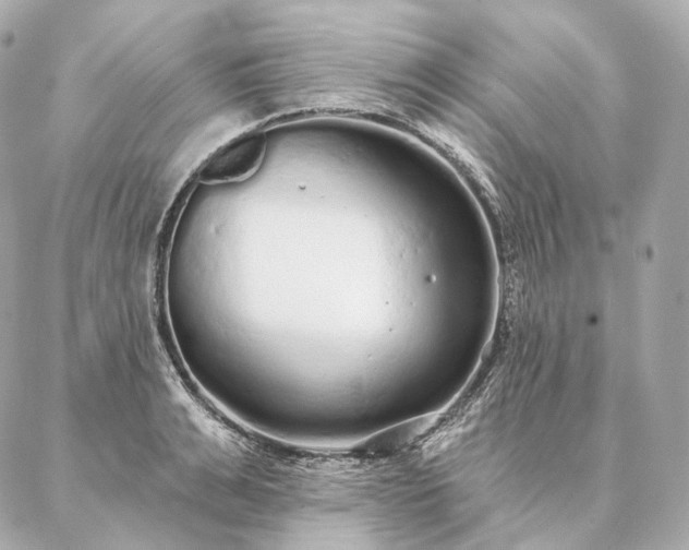 X0000086950991200704231421