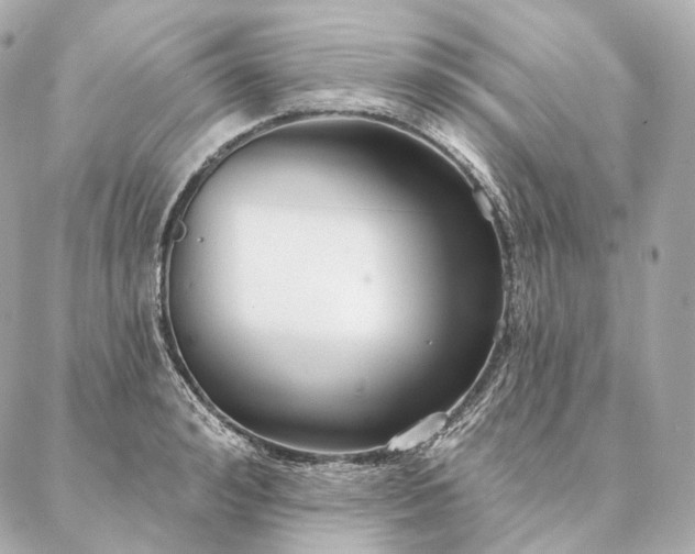 X0000086950992200704231421