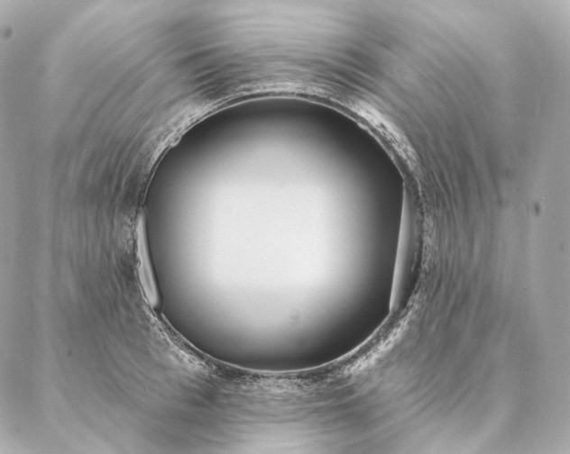 X0000086950993200704231421