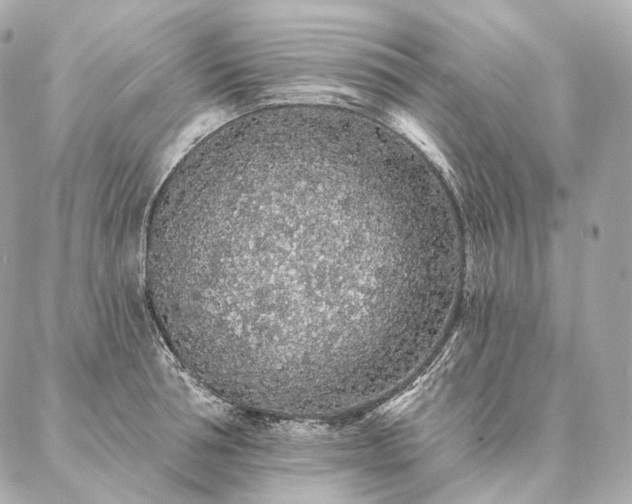 X0000086950994200704231421