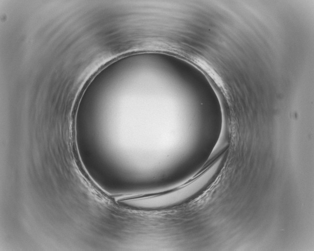 X0000086950996200704231421