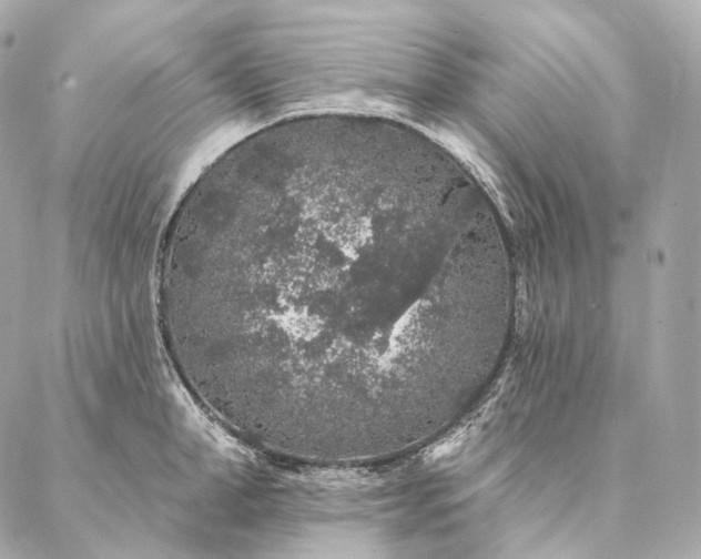 X0000086950998200704231421