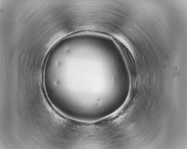 X0000086950999200704231421