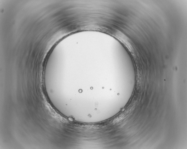 X0000086951000200704231421