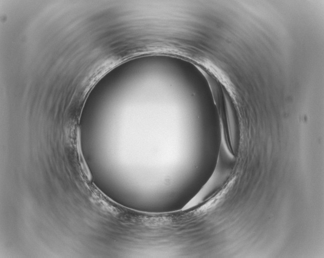 X0000086951001200704231421