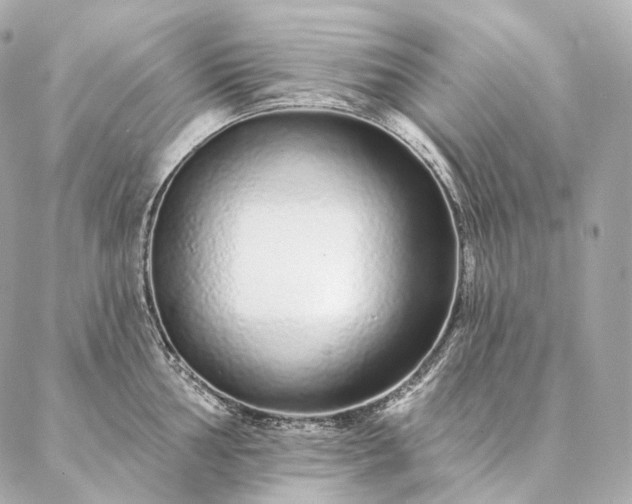 X0000086951002200704231421