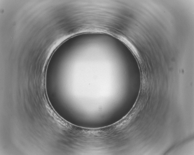 X0000086951004200704231421