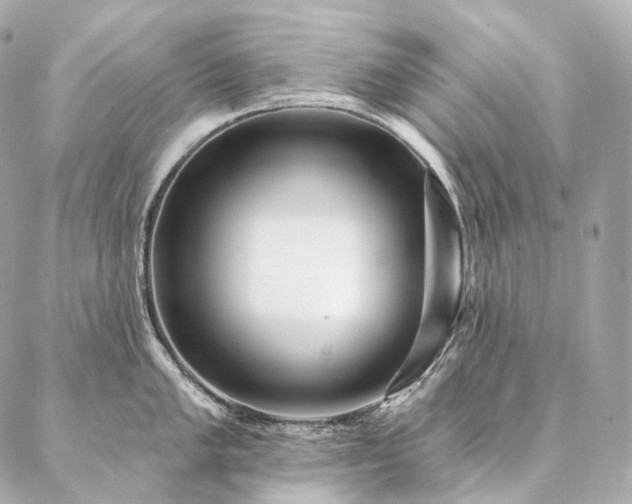 X0000086951005200704231421