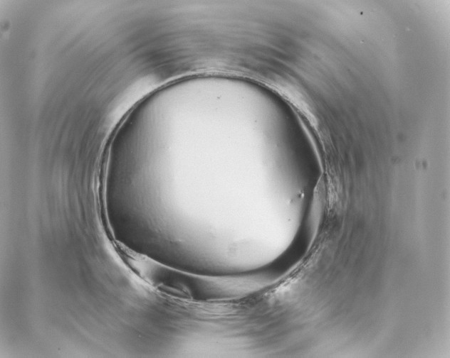 X0000086951007200704231421