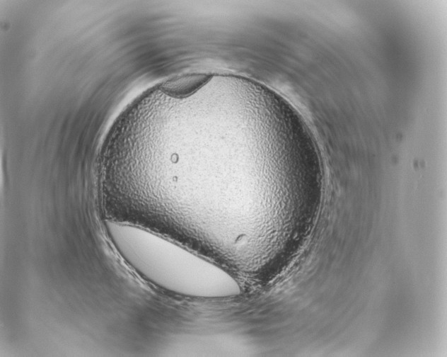 X0000086951008200704231421