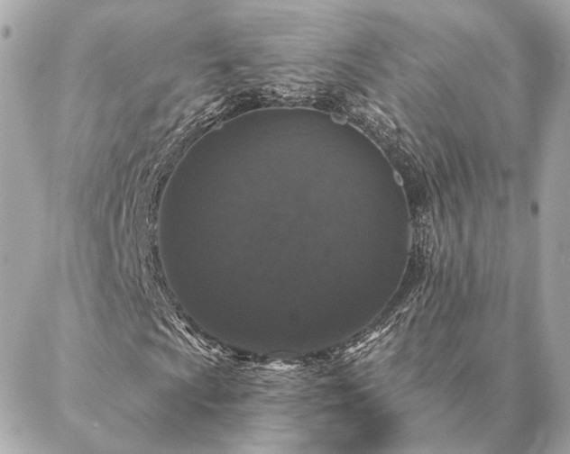 X0000086951009200704231420