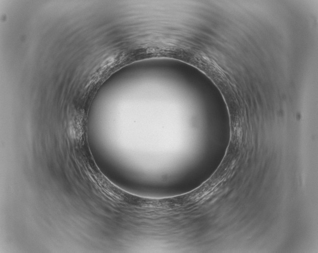 X0000086951012200704231420