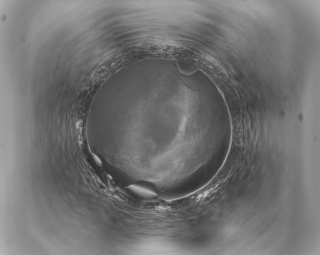 X0000086951013200704231420