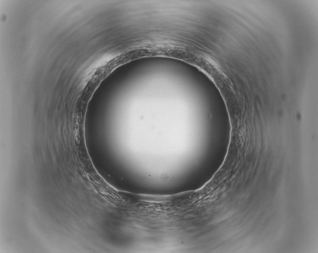 X0000086951016200704231420