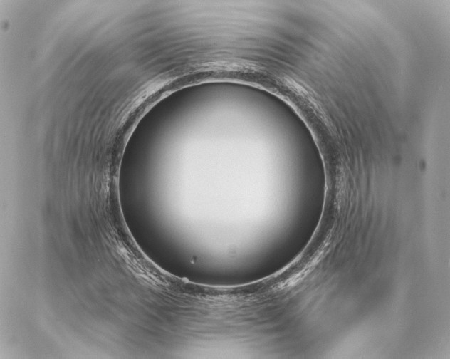 X0000086951017200704231420