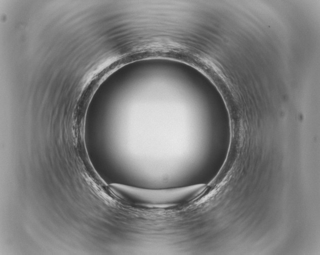 X0000086951018200704231420