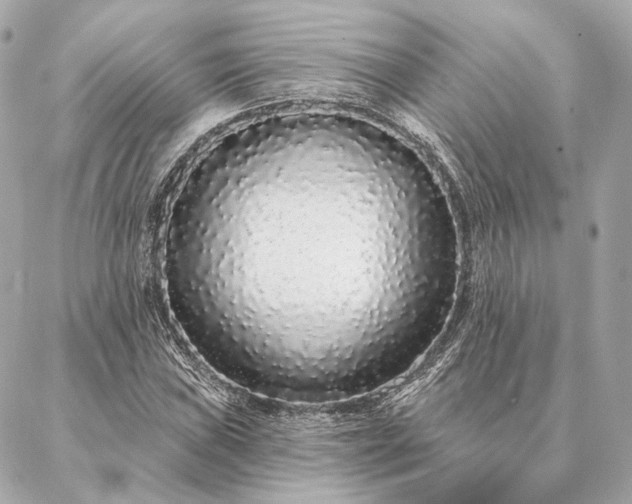 X0000086951019200704231420