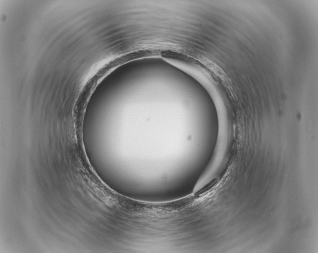 X0000086951022200704231420