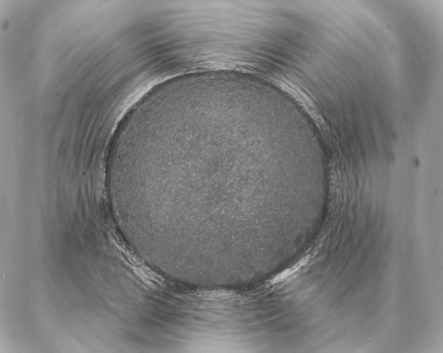 X0000086951023200704231420