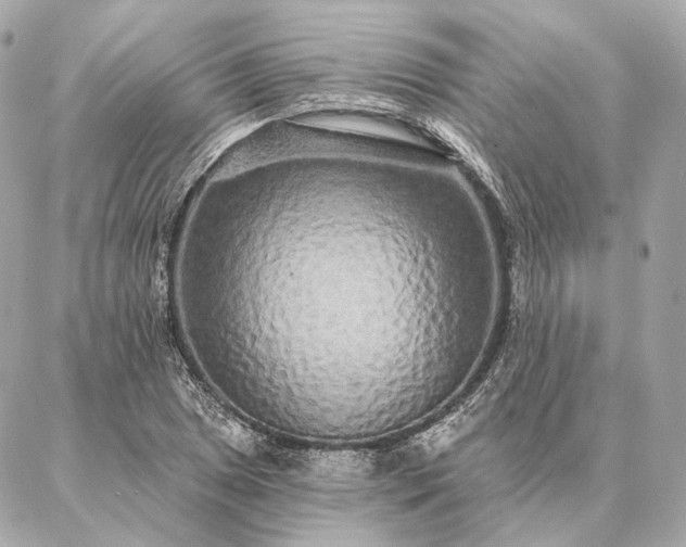 X0000086951025200704231420