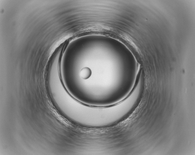 X0000086951026200704231420