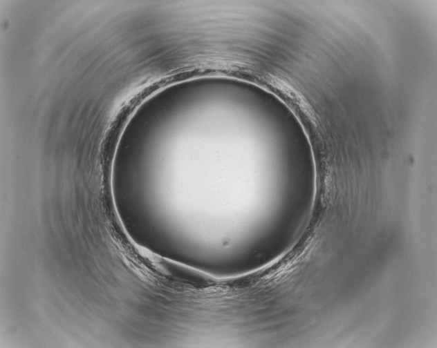 X0000086951027200704231420