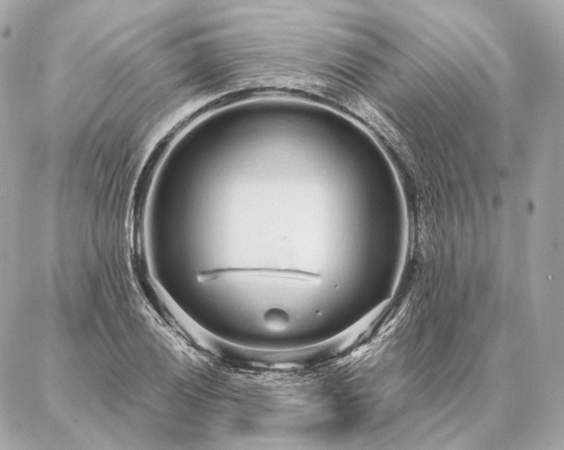 X0000086951028200704231420