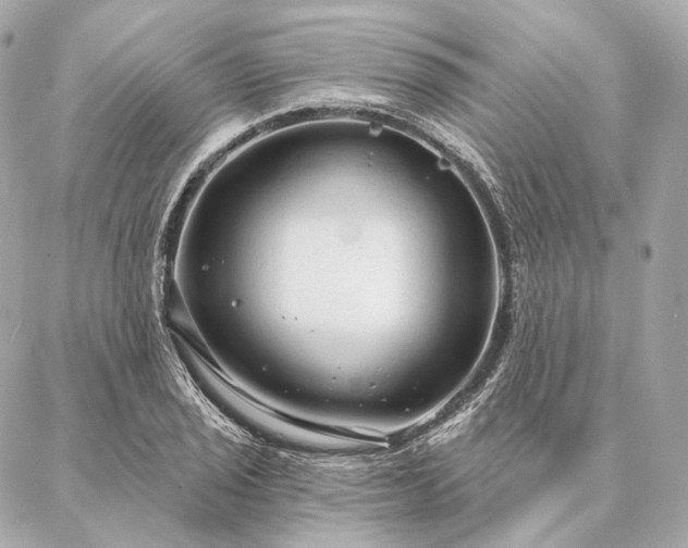 X0000086951029200704231420