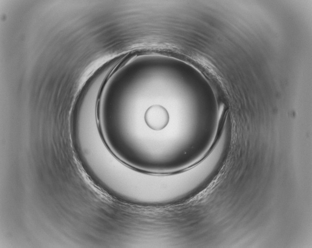 X0000086951030200704231420