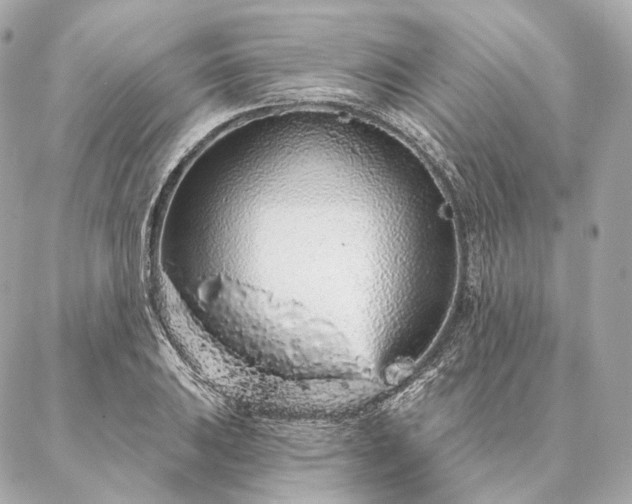 X0000086951031200704231420