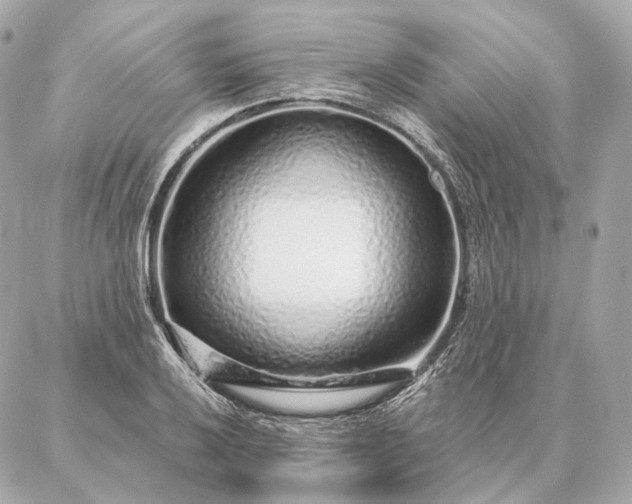 X0000086951032200704231420