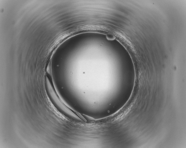 X0000086951033200704231420