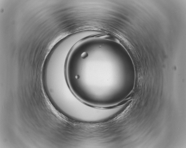 X0000086951034200704231420