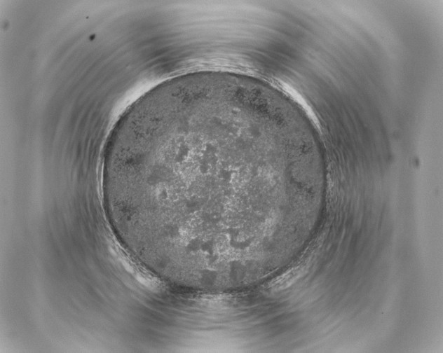 X0000086951035200704231420