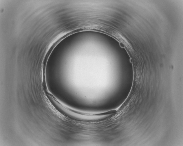 X0000086951036200704231420