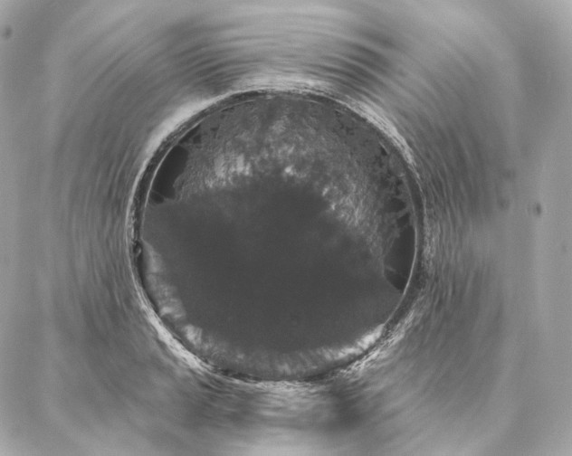 X0000086951037200704231420