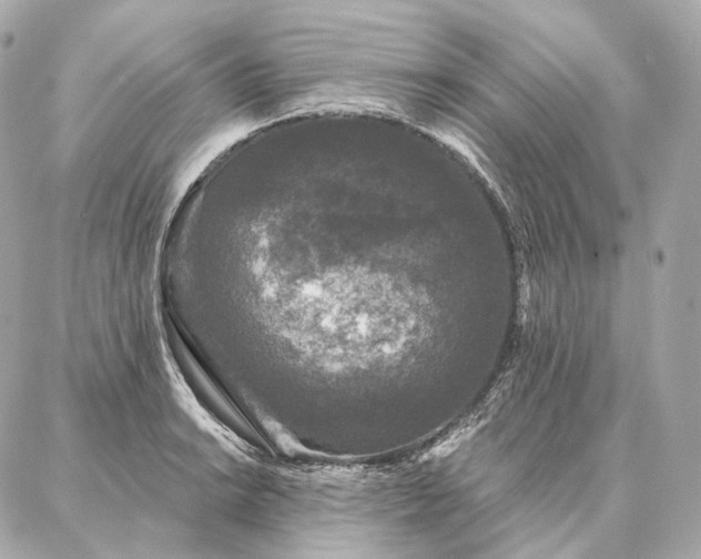 X0000086951038200704231420