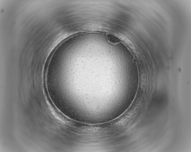 X0000086951039200704231420