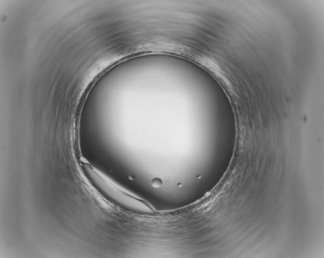 X0000086951040200704231420