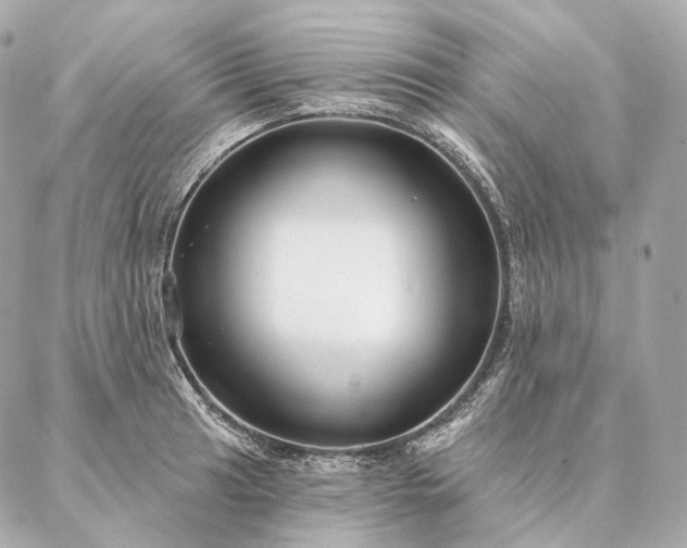 X0000086951041200704231420