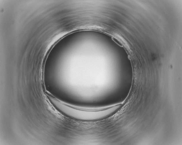 X0000086951044200704231420