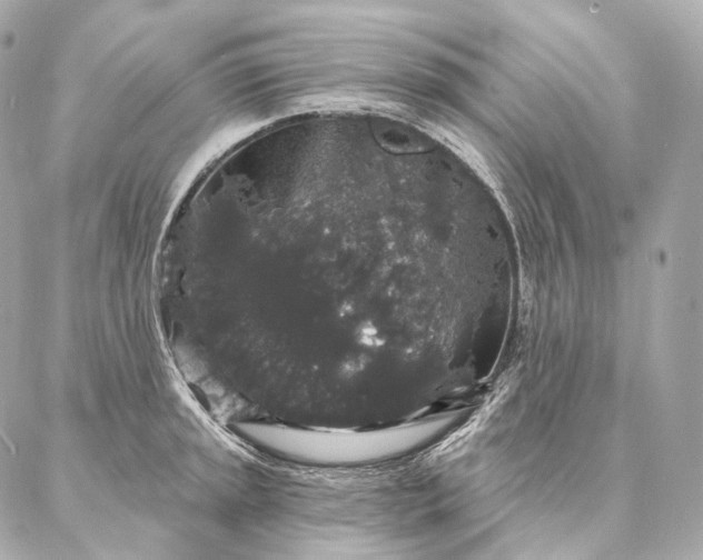 X0000086951045200704231420