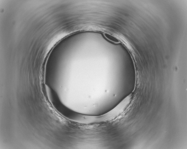 X0000086951048200704231421